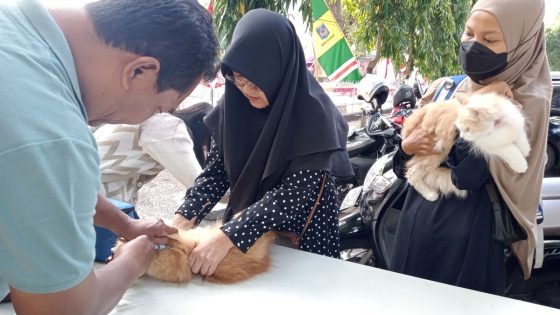 Ratusan kucing peliharaan Kota Mataram divaksin gratis, cegah rabies